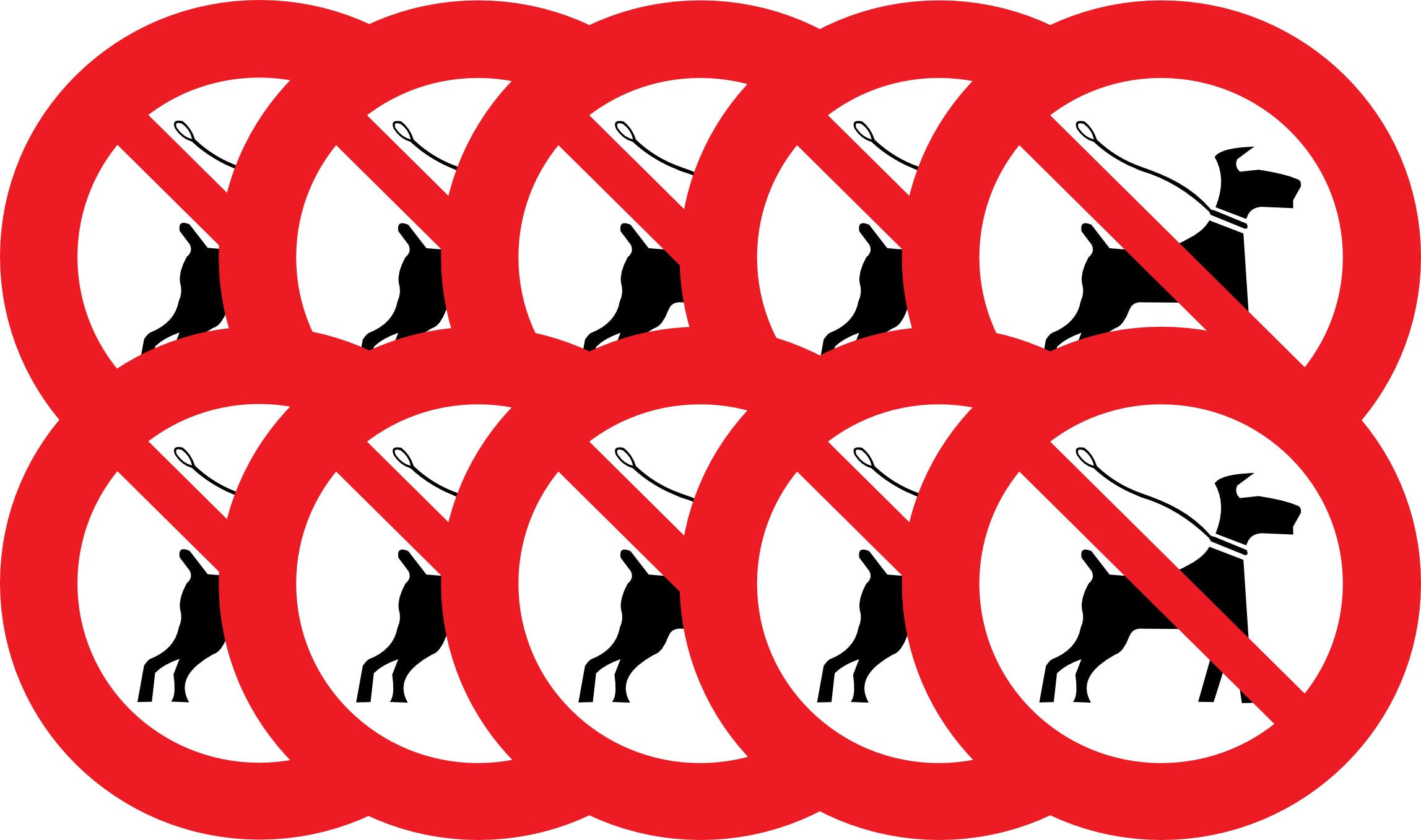 Sticker Interdit aux Chiens – Signalétique No Dog | Entreprises & Commerces
