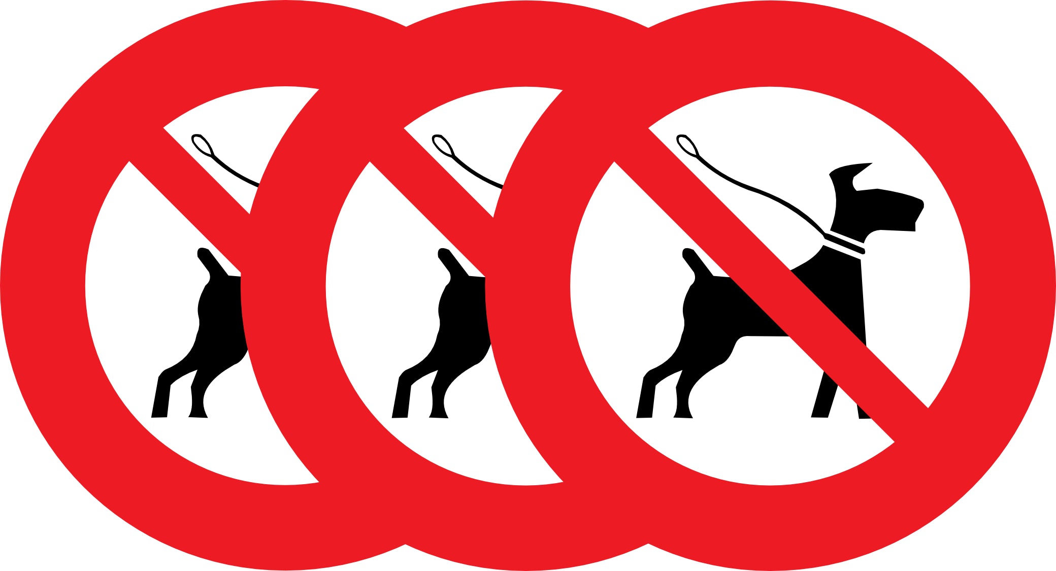 Sticker Interdit aux Chiens – Signalétique No Dog | Entreprises & Commerces