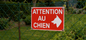 Panneau Attention au Chien 30 x 40 cm – Signalétique Sécurité PVC