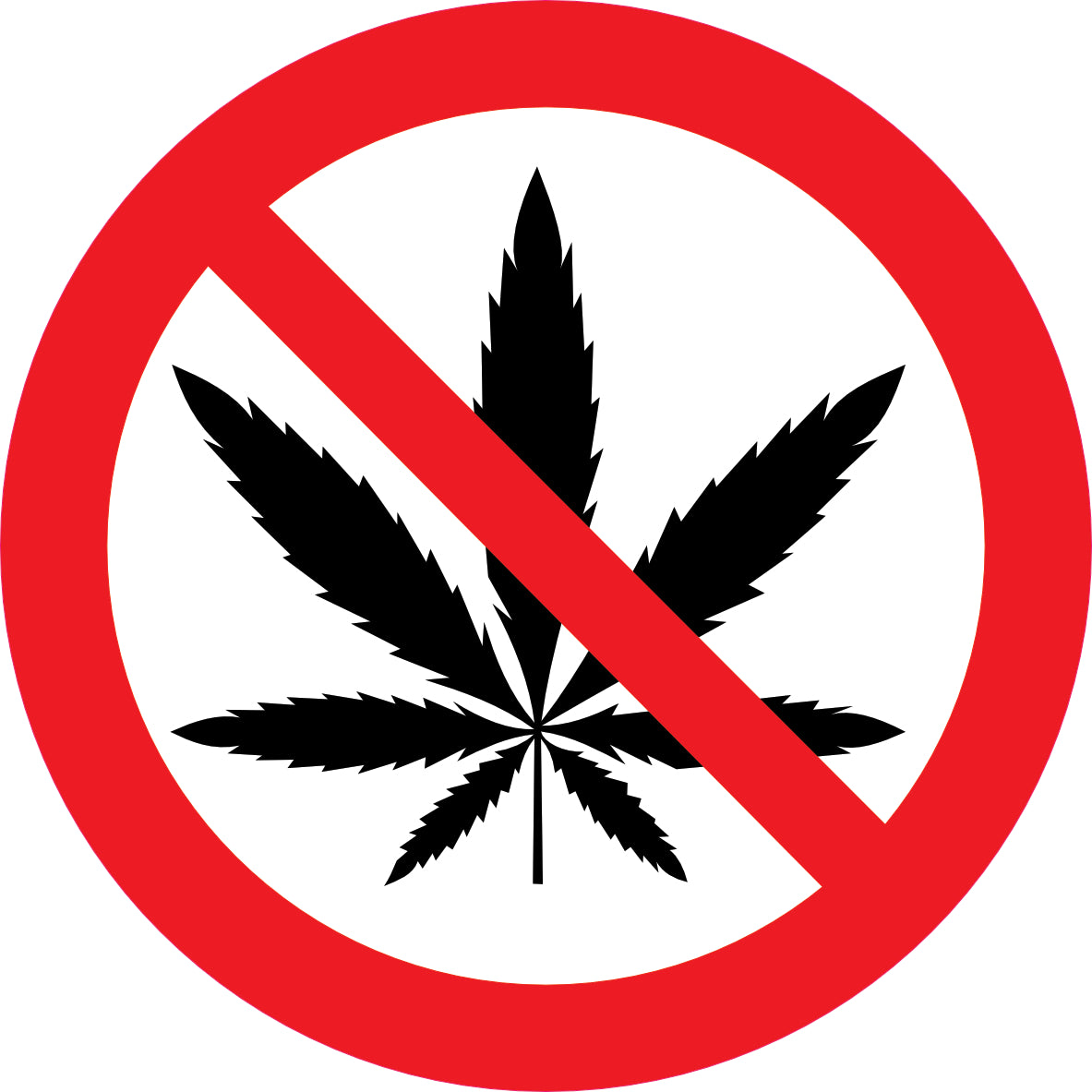 Sticker Pictogramme Cannabis Interdit — Lot de 5 — Ø 10 cm — Vinyle Adhésif Pro